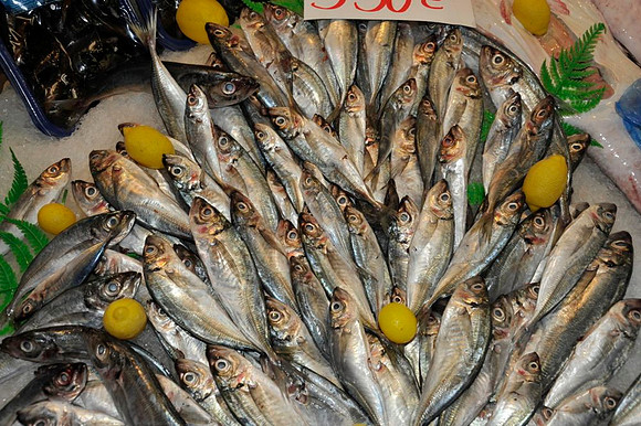 Fresh sardinades