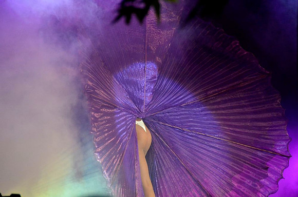 Vidauban show 5